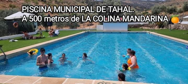 Casa La Colina Mandarina II Casa De Madera Villa Tahal Ngoại thất bức ảnh
