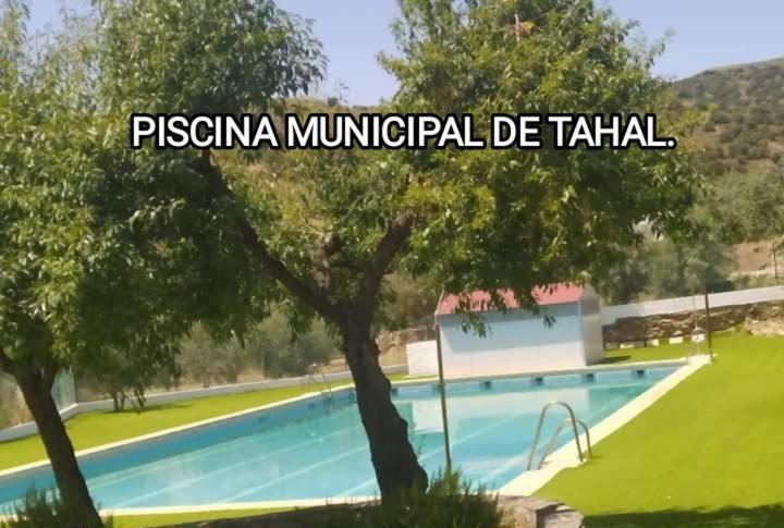 Casa La Colina Mandarina II Casa De Madera Villa Tahal Ngoại thất bức ảnh